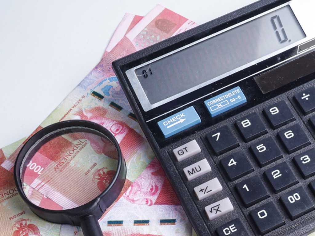 Search image article