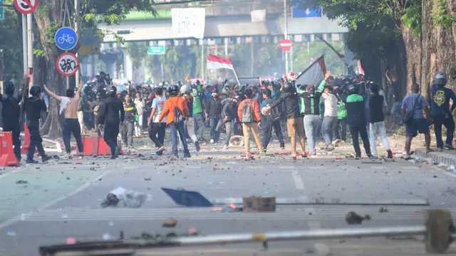 Search image article