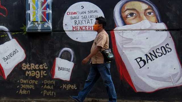 Search image article