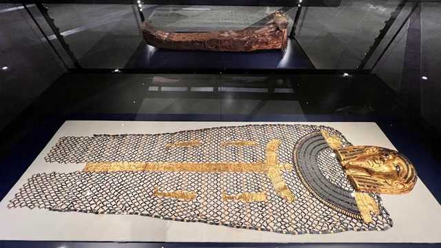 Search image article