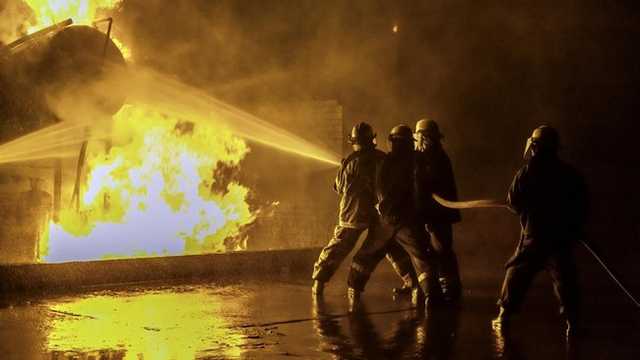 Search image article