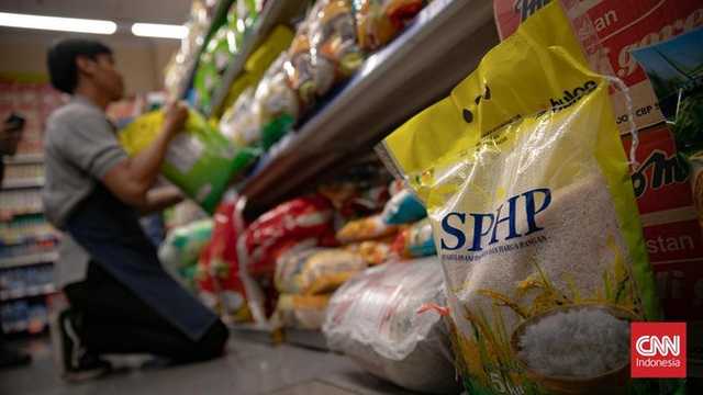 Search image article