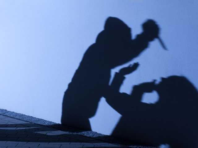 Search image article