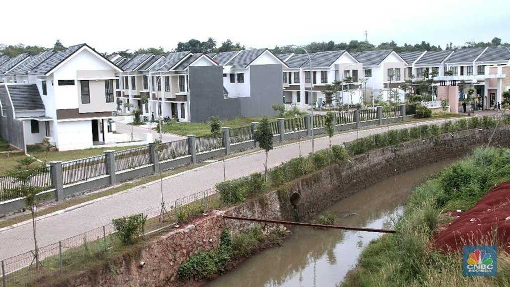 Search image article