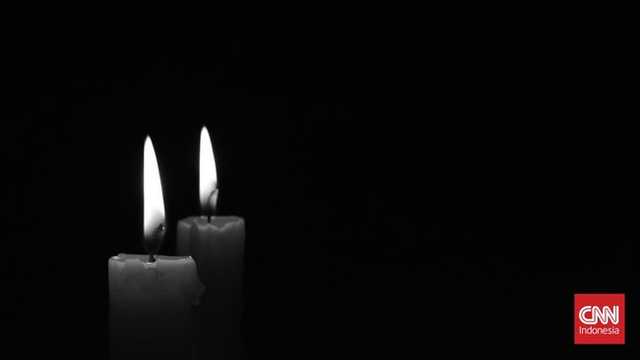 Search image article