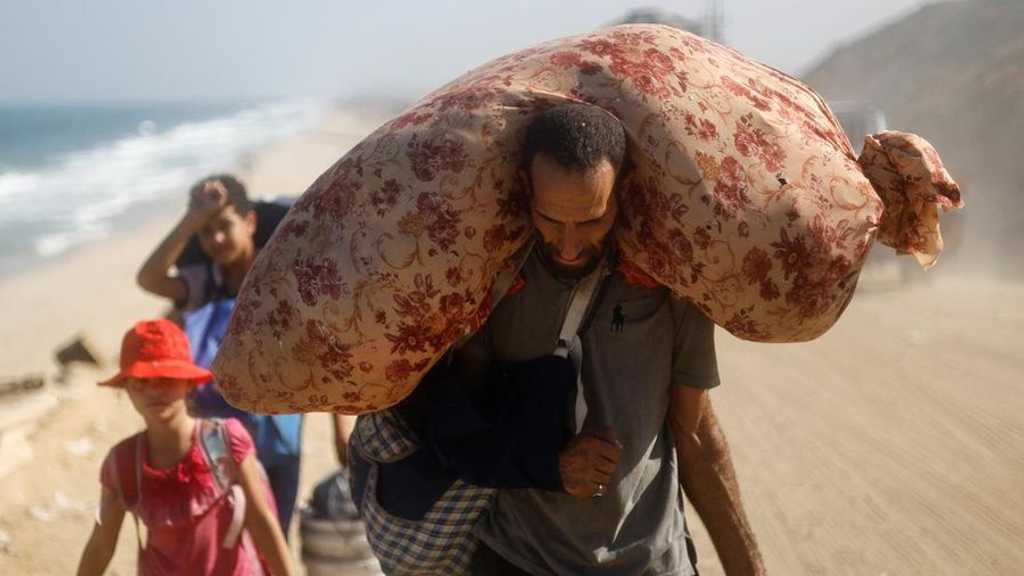 Search image article