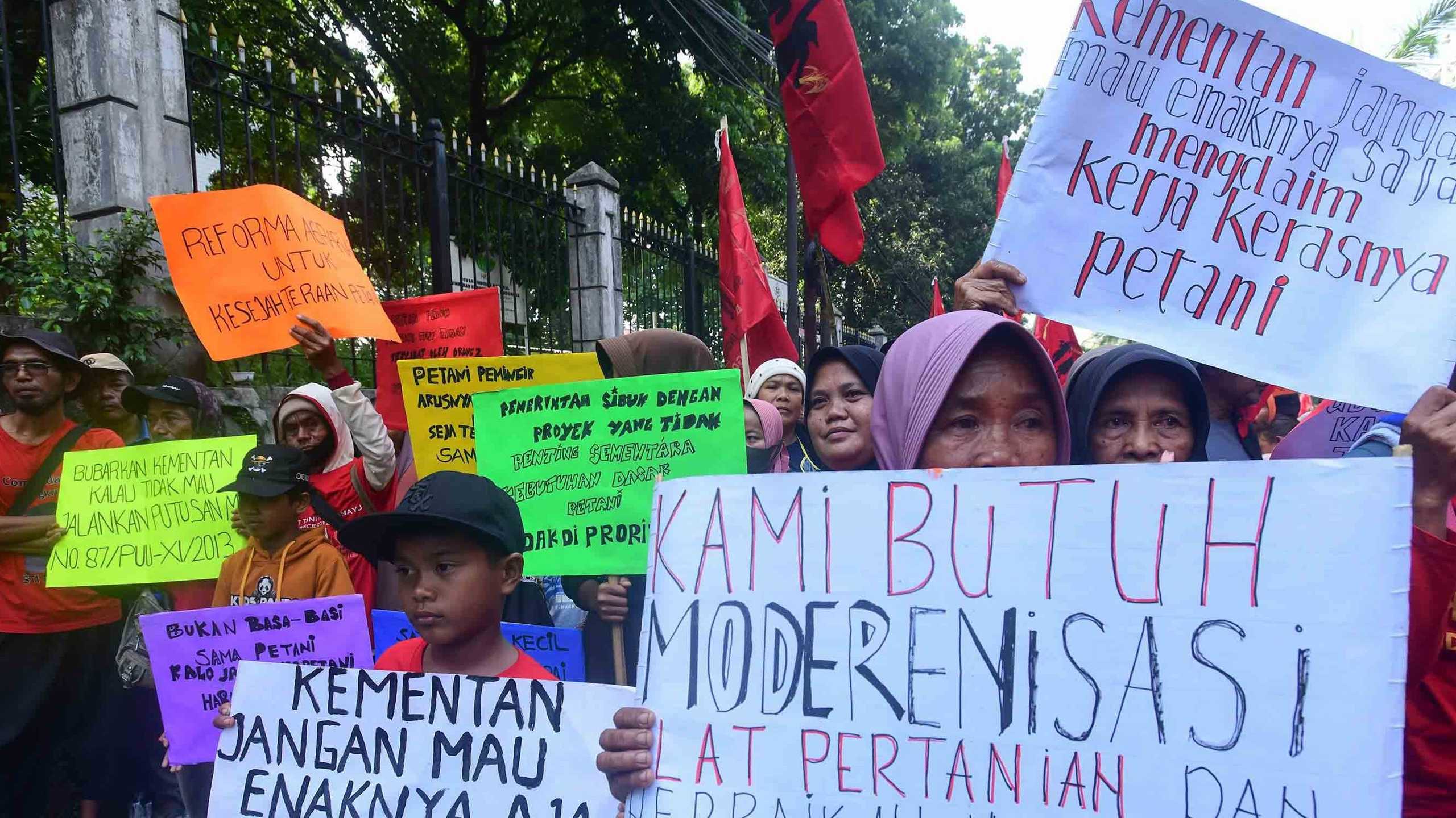 Search image article