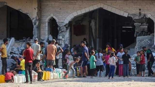 Search image article