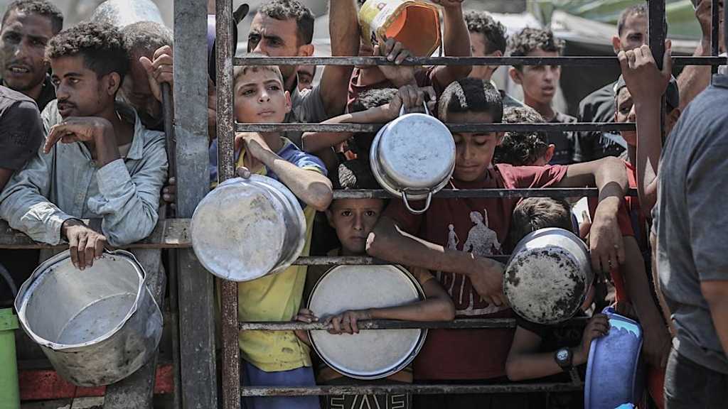 Indonesia salurkan bantuan Rp200 miliar untuk Gaza, bagian dari 10.000 ton beras