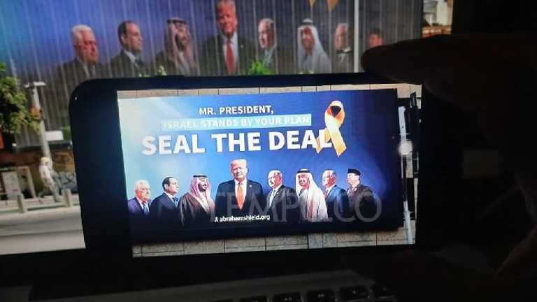 Search image article