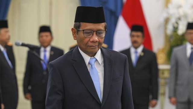 Search image article