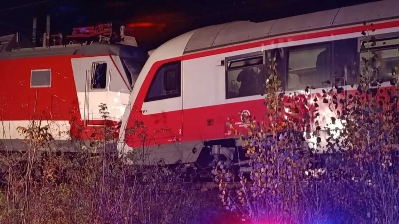 Search image article