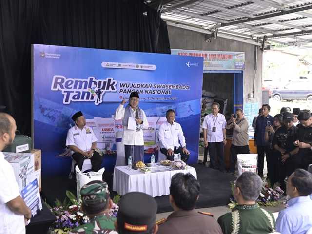 Search image article