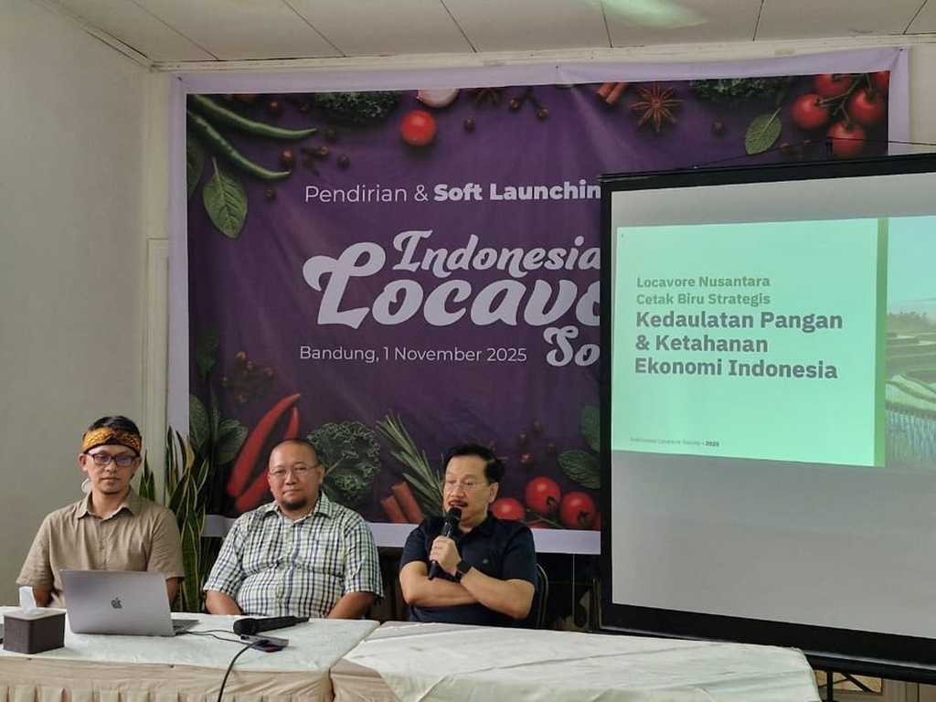 Search image article