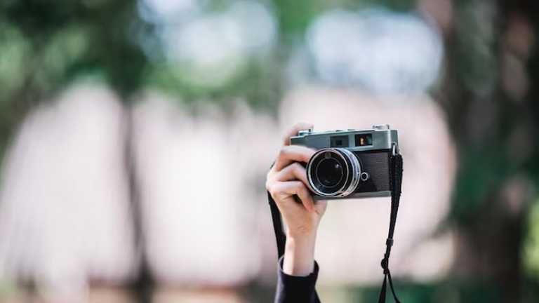 Search image article