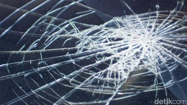 Search image article