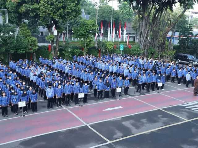 Search image article