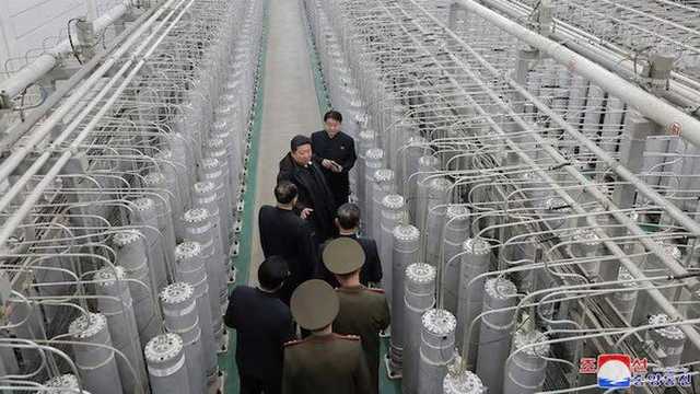 Search image article