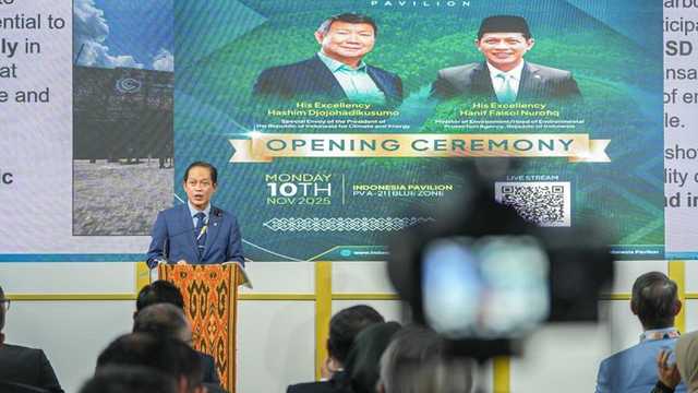 Search image article