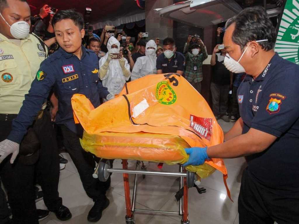 Search image article