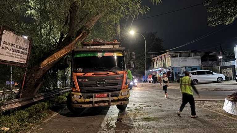 Search image article