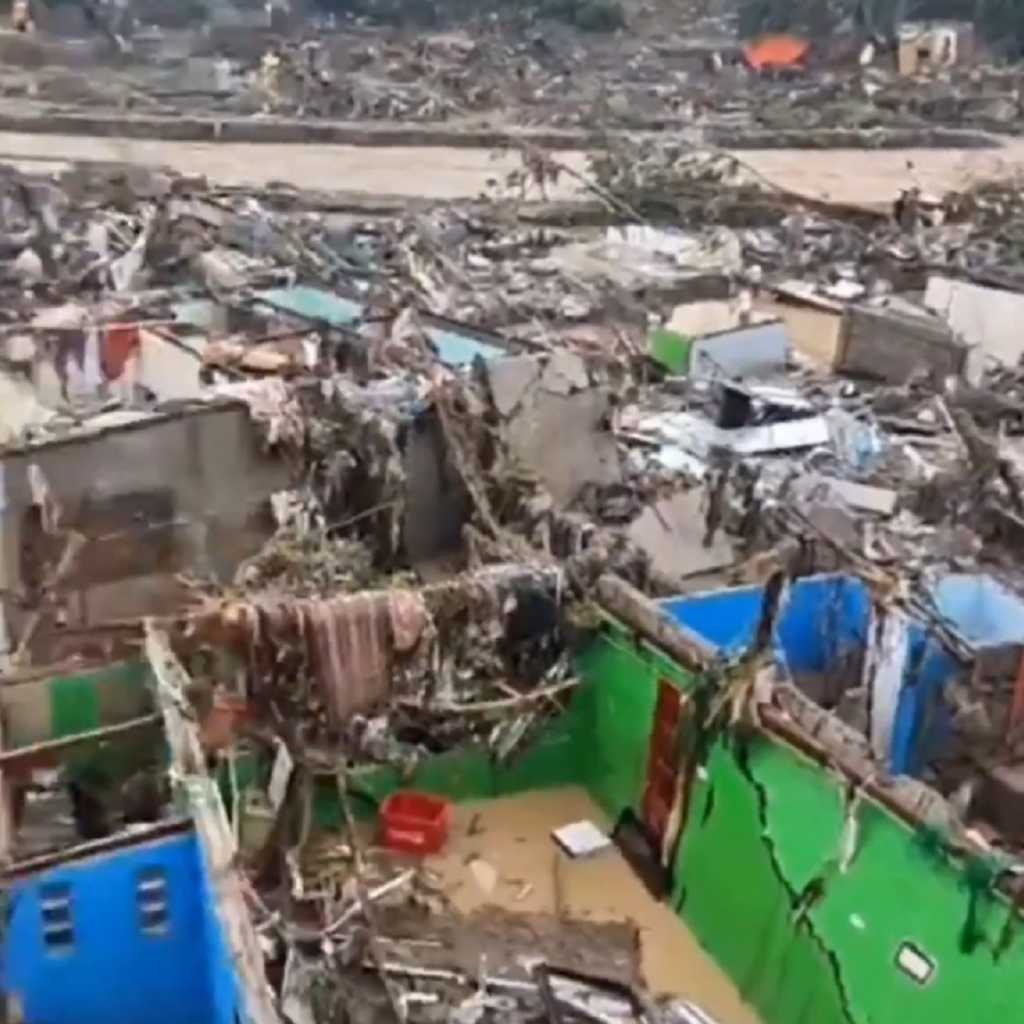 Search image article