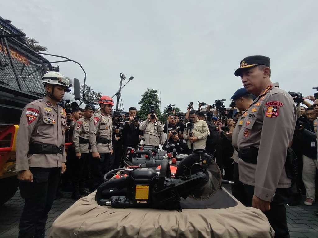 Search image article