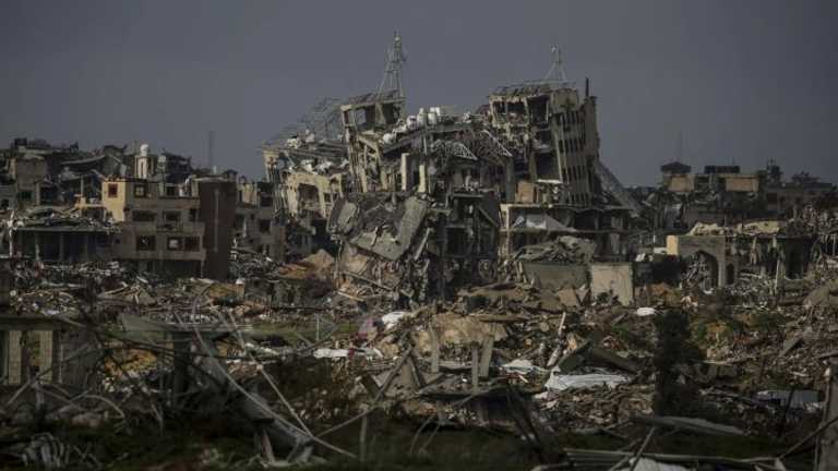 Search image article