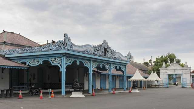 Search image article