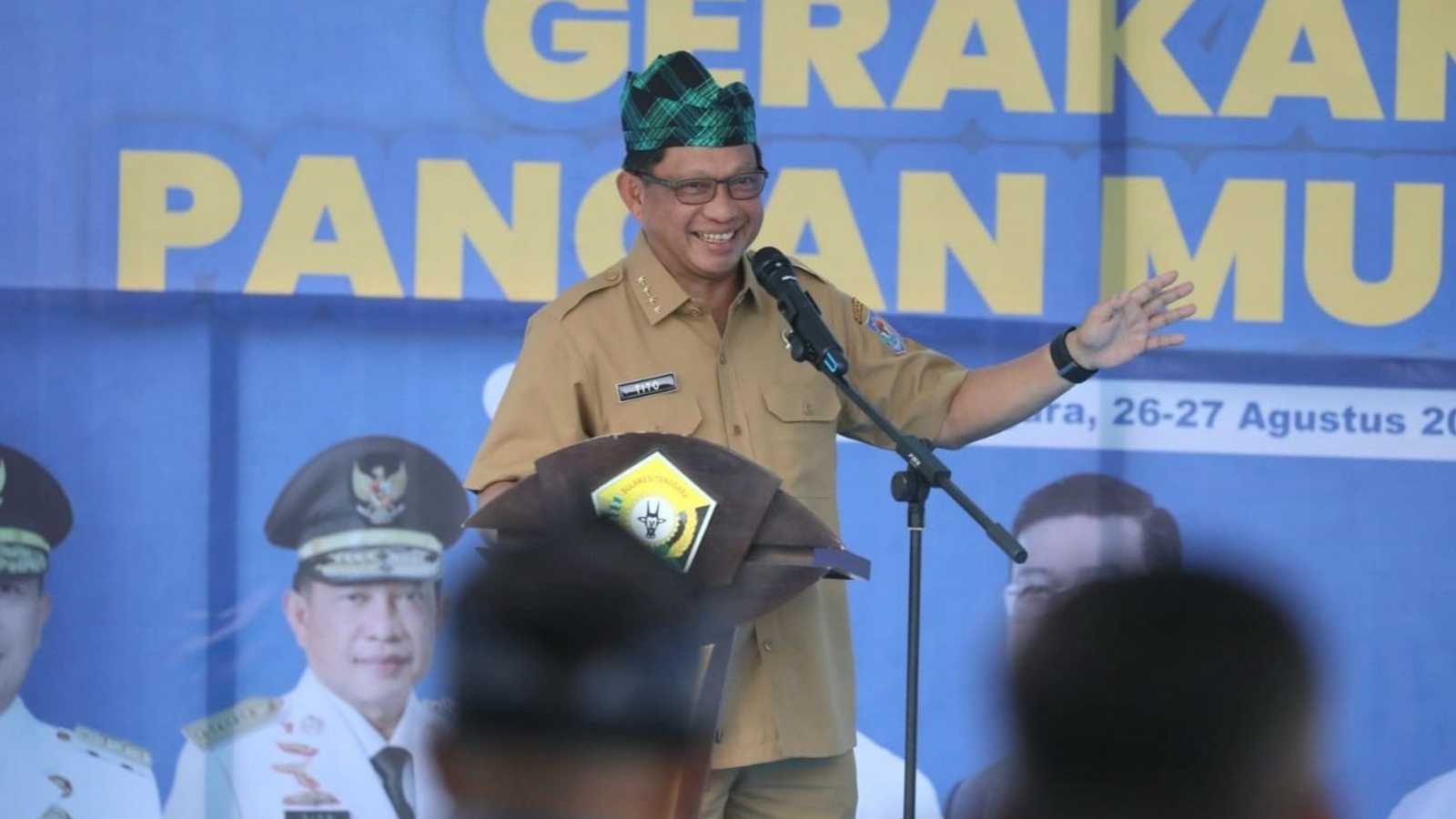 Search image article