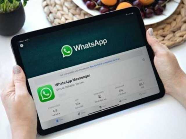 Search image article