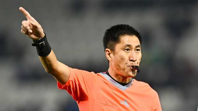 Search image article