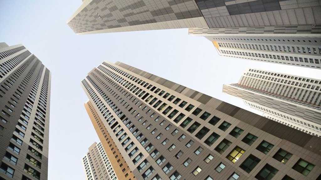 Search image article