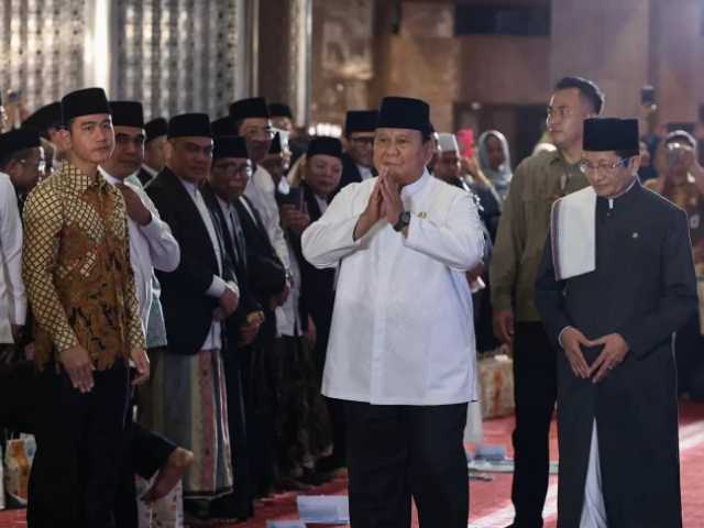 Search image article