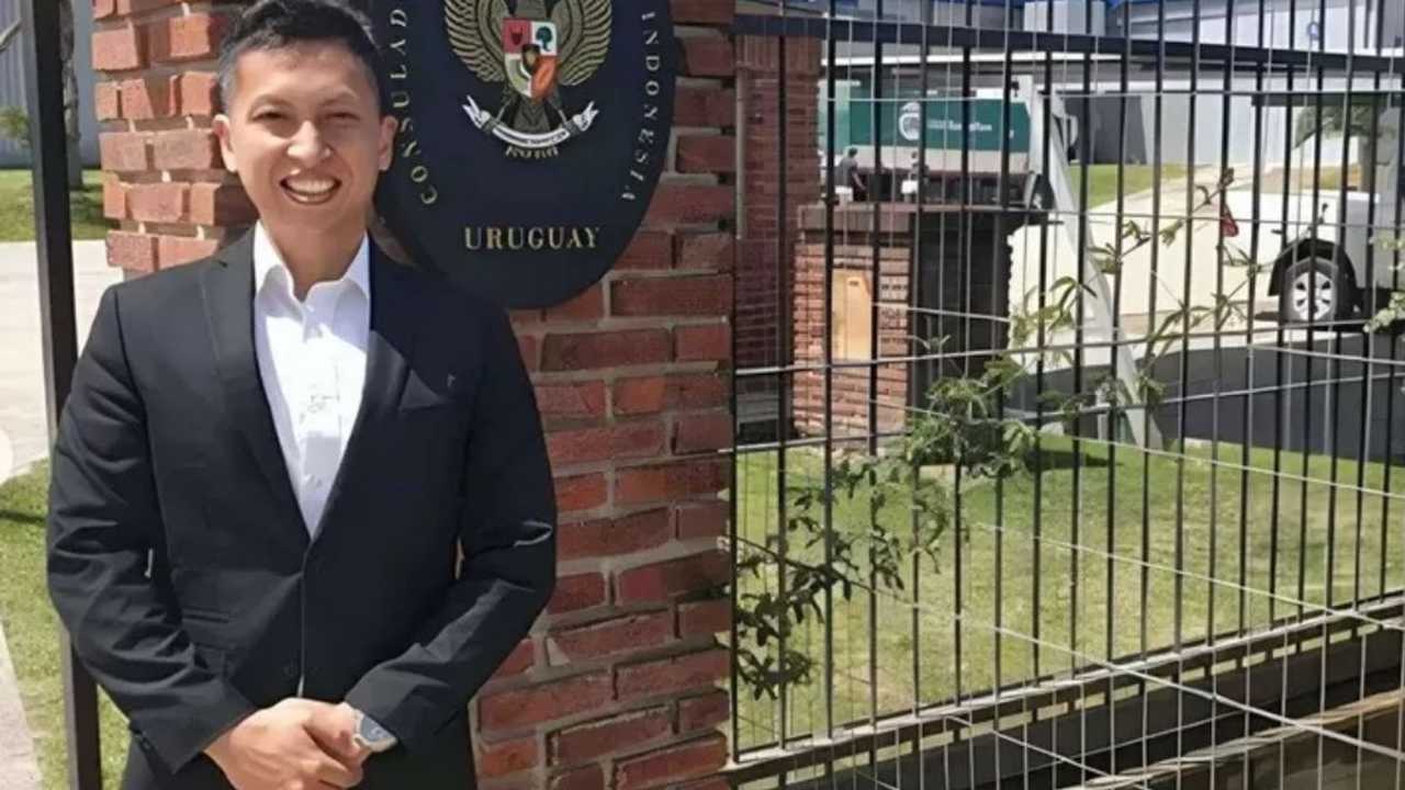 Search image article