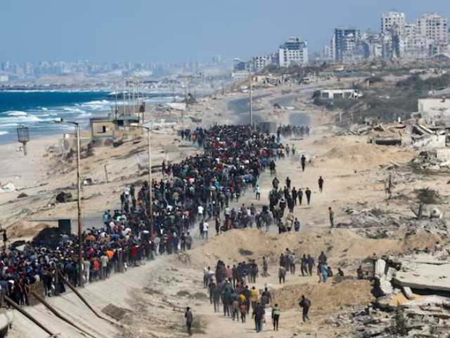 Search image article