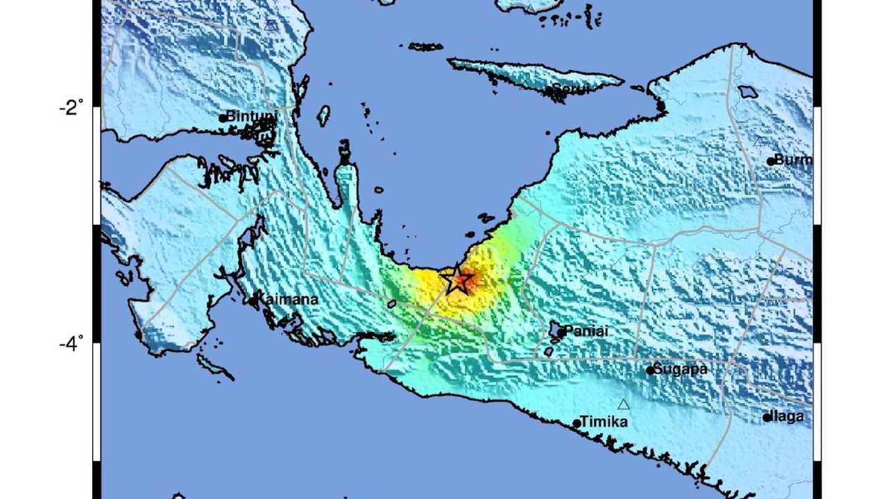 Search image article