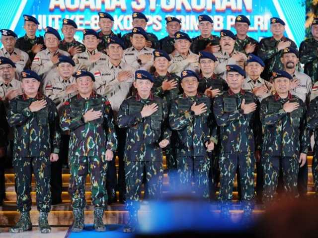 Search image article