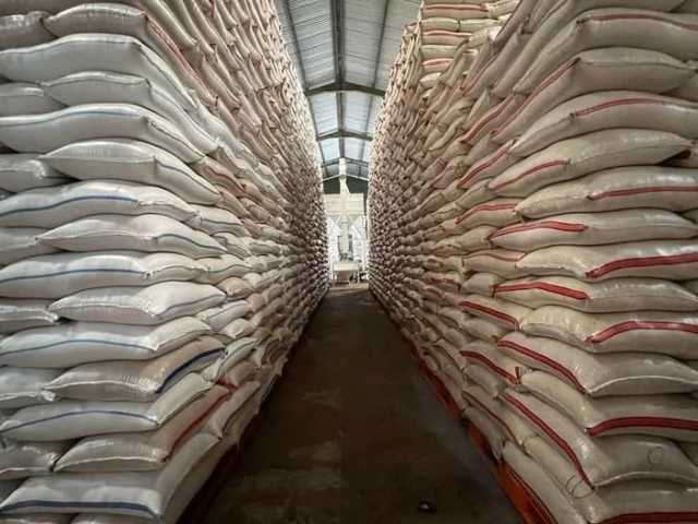 Search image article