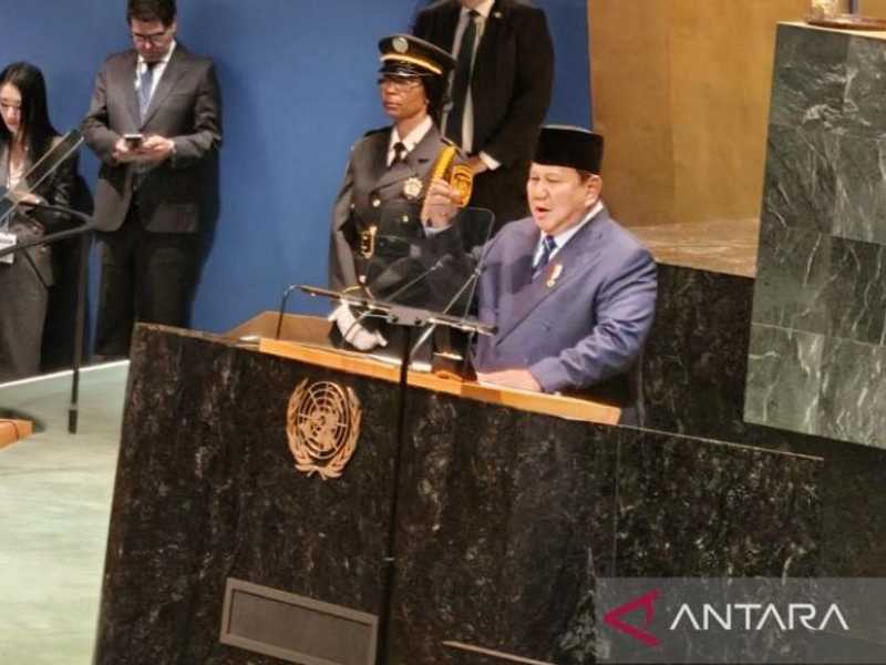 Search image article