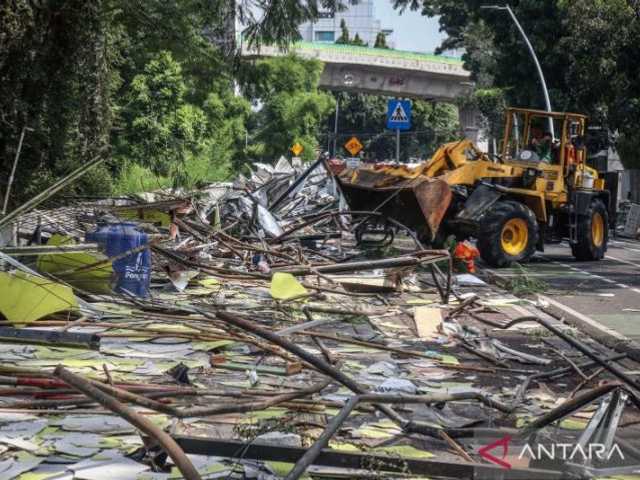 Search image article