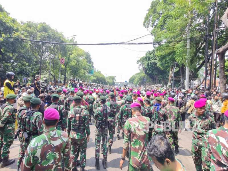 Search image article