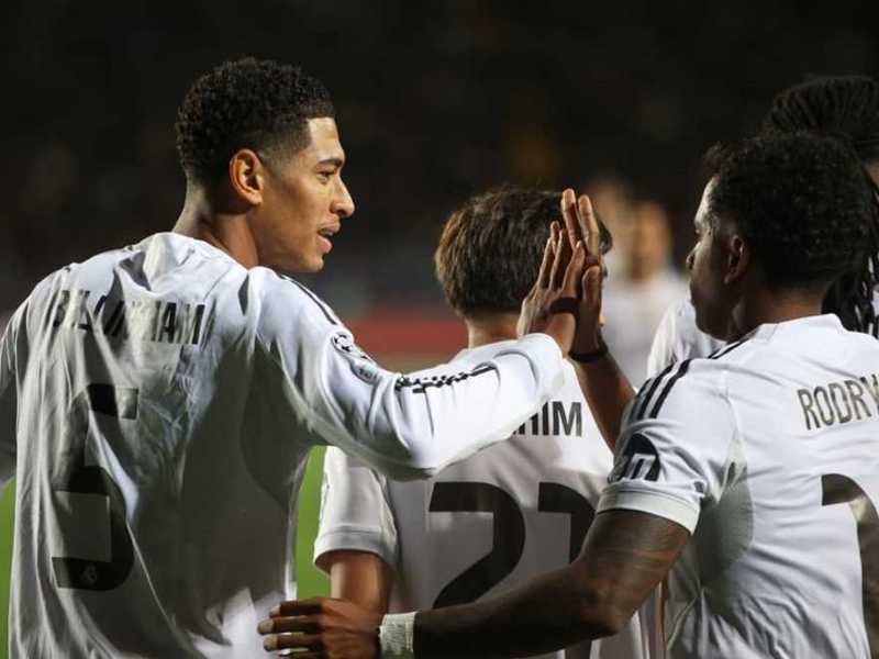 Search image article