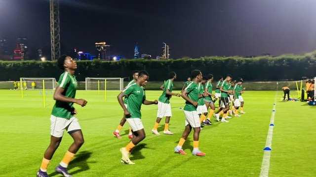 Search image article