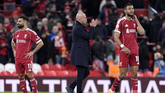 Search image article