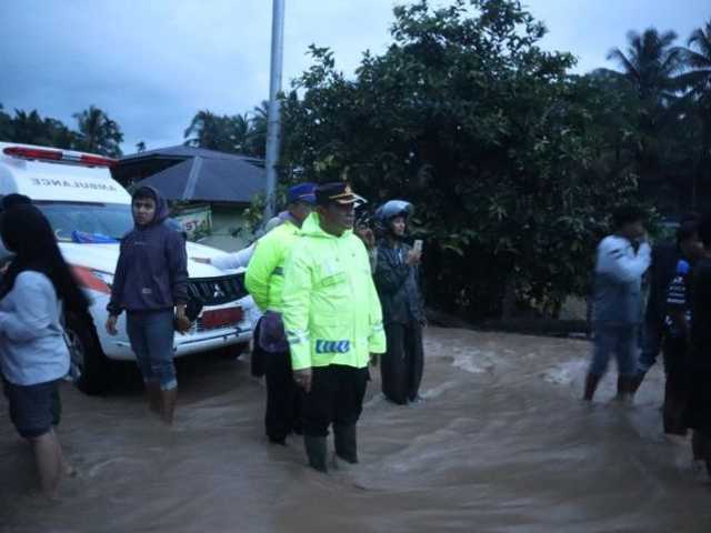 Search image article