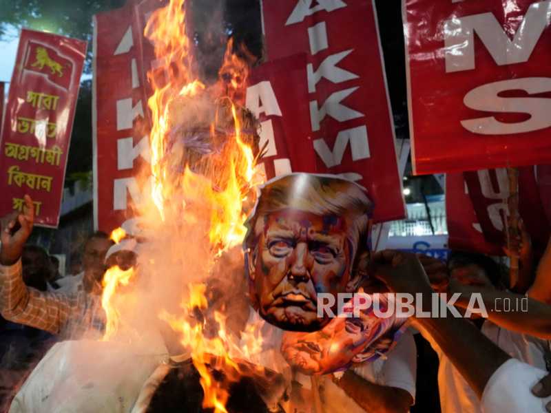 Search image article