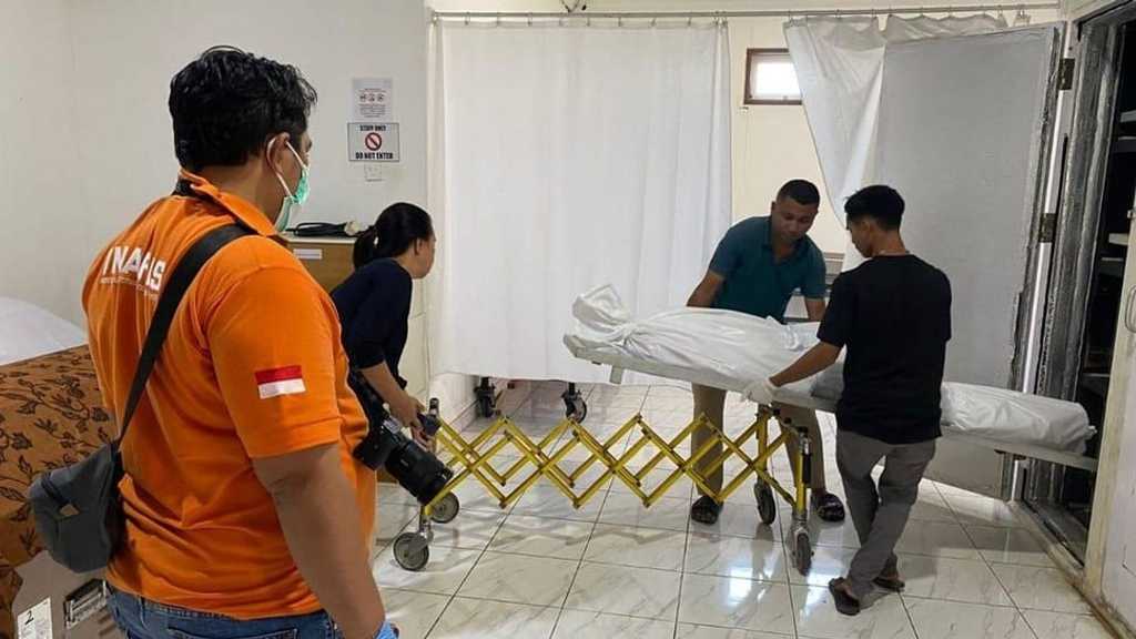 Search image article