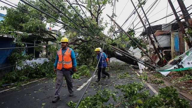 Search image article