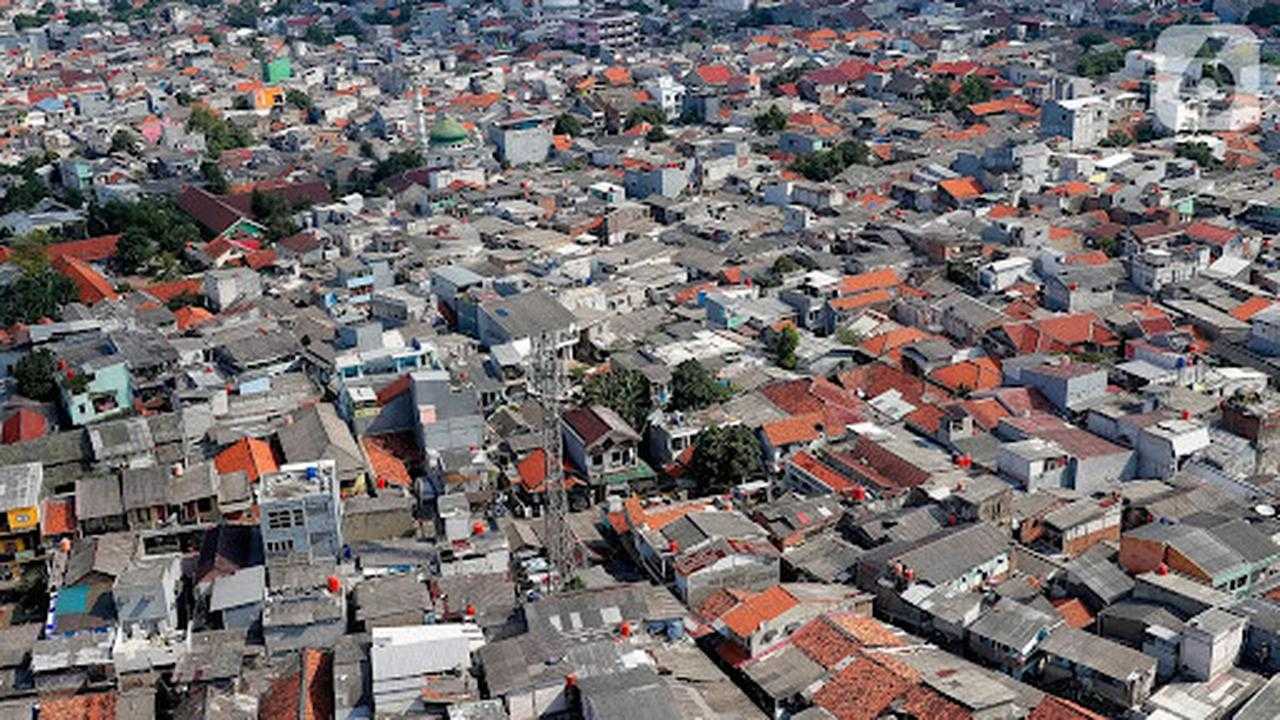 Search image article